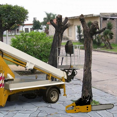 adl_015_tala_cesta